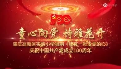 拯救精灵的土地8